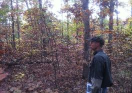 Wildlife Biologist Mark Banker getting set to create Golden Winged Warbler habitat. Thick, early successional habitat benefits many species of wildlife.