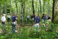 Forestry field tours - Call us if you would like to schedule some for your family or organization.