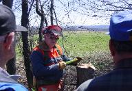 Chainsaw Safety Workshop - Forest Landowner Associations organize educational forestry events