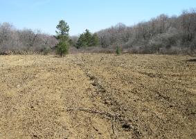 Forest management in PA means different things to different people. Each forest landowner is unique and has unique goals. This forest is being managed for timber and wildlife. Wildlife foodplots can be an important food supplement for deer and turkey.