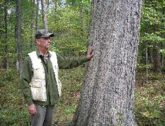 Retired Brigadier General and Consulting Forester Larry Powell has been positively impacting forests for over 40 years. Larry's love for forest management is evident in each AFC client forest.